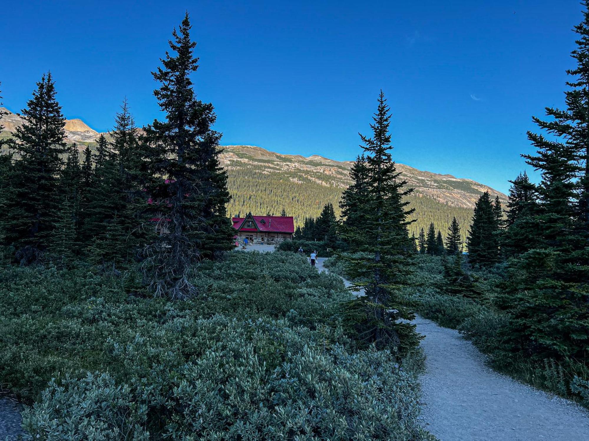 The Lodge At Bow Lake Lake Louise Exterior photo