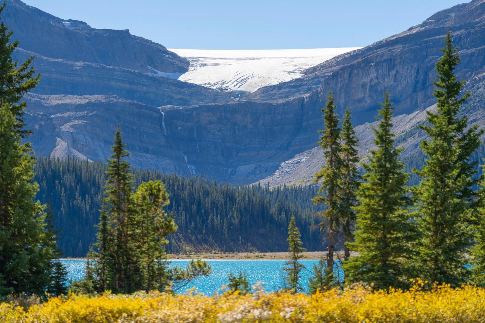 The Lodge At Bow Lake Lake Louise Exterior photo